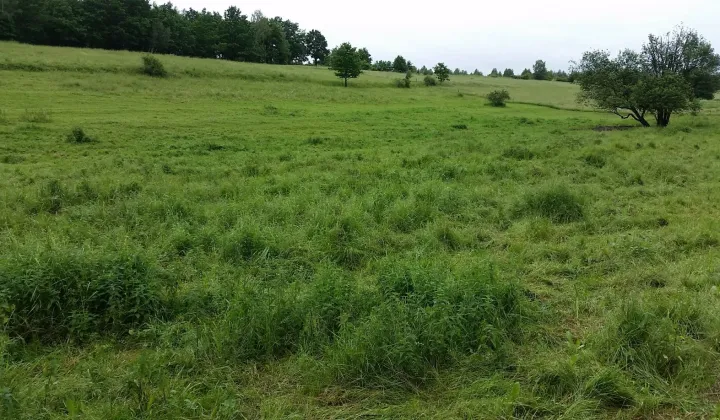 Działka rolno-budowlana Jaszkowa Górna