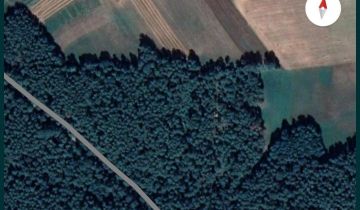 Działka leśna Perki-Franki