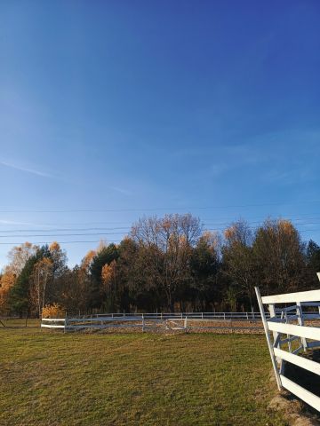 Ośrodek wczasowy Olszynki. Zdjęcie 8