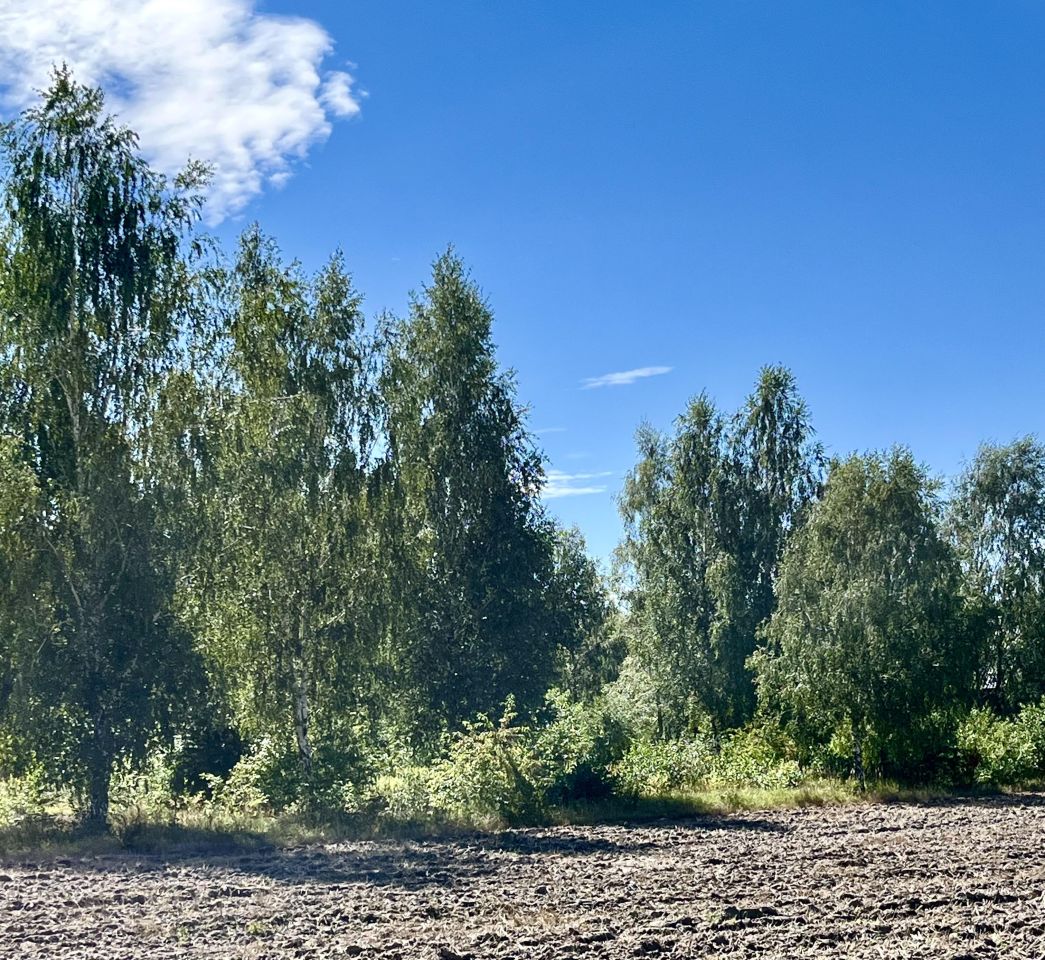 Działka rolno-budowlana Bełchów, ul. Polna. Zdjęcie 4
