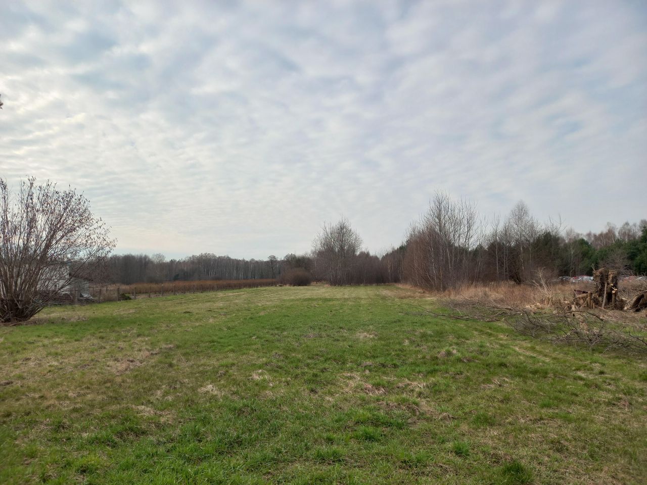 Działka siedliskowa Grabina Radziwiłłowska, ul. Duża. Zdjęcie 6