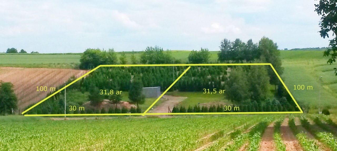 Działka rolno-budowlana Batycze. Zdjęcie 6