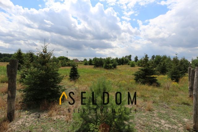 Działka rekreacyjna Ostrowo. Zdjęcie 3