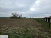 Działka rolno-budowlana Rolantowice. Zdjęcie 1