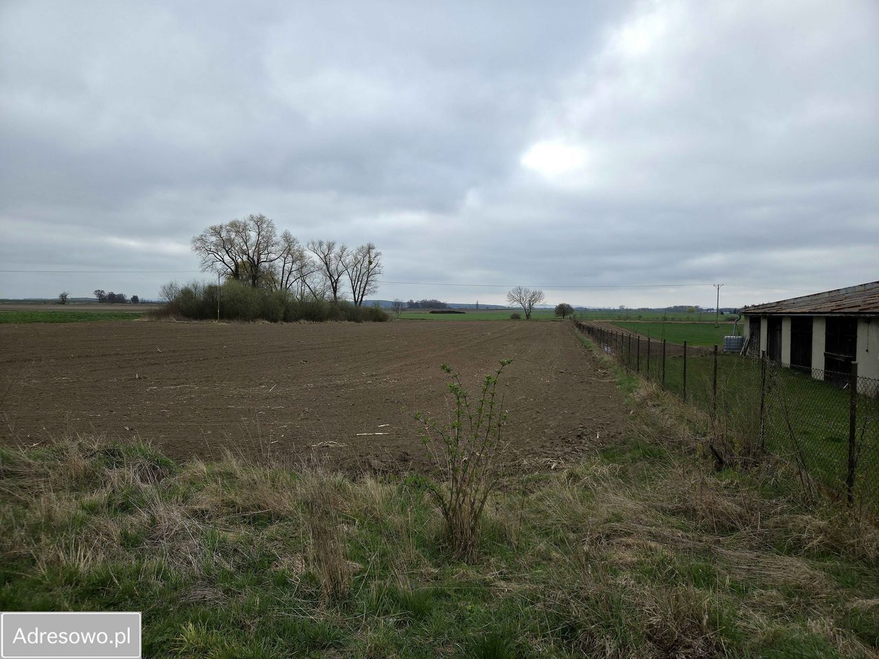 Działka rolno-budowlana Rolantowice. Zdjęcie 2