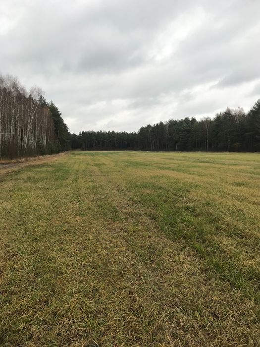 Działka budowlana Brzozówka, Działka nr. Zdjęcie 3