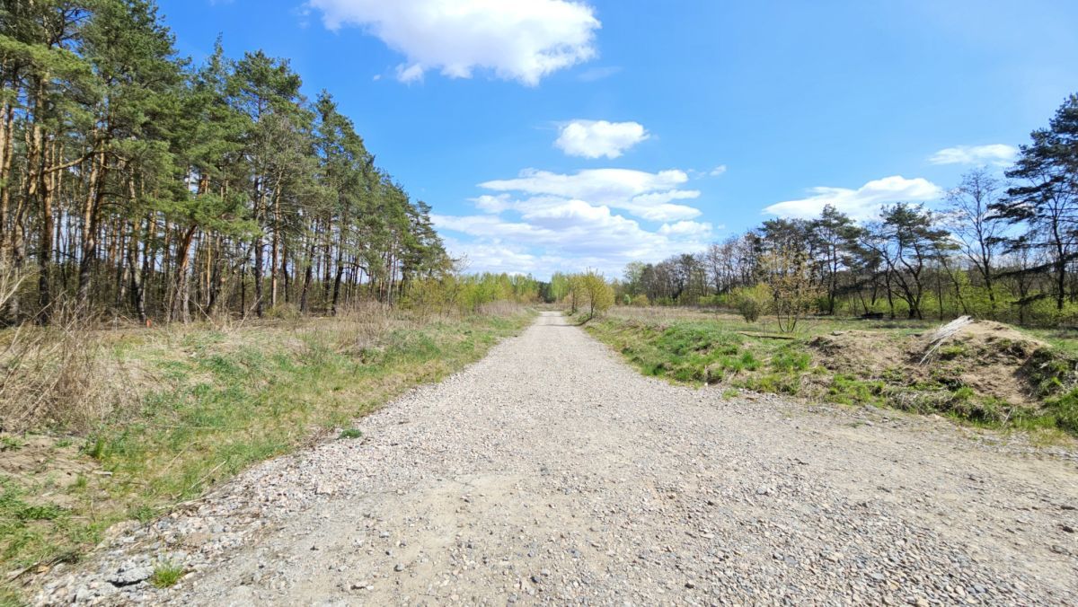 Działka budowlana Żółwin. Zdjęcie 2