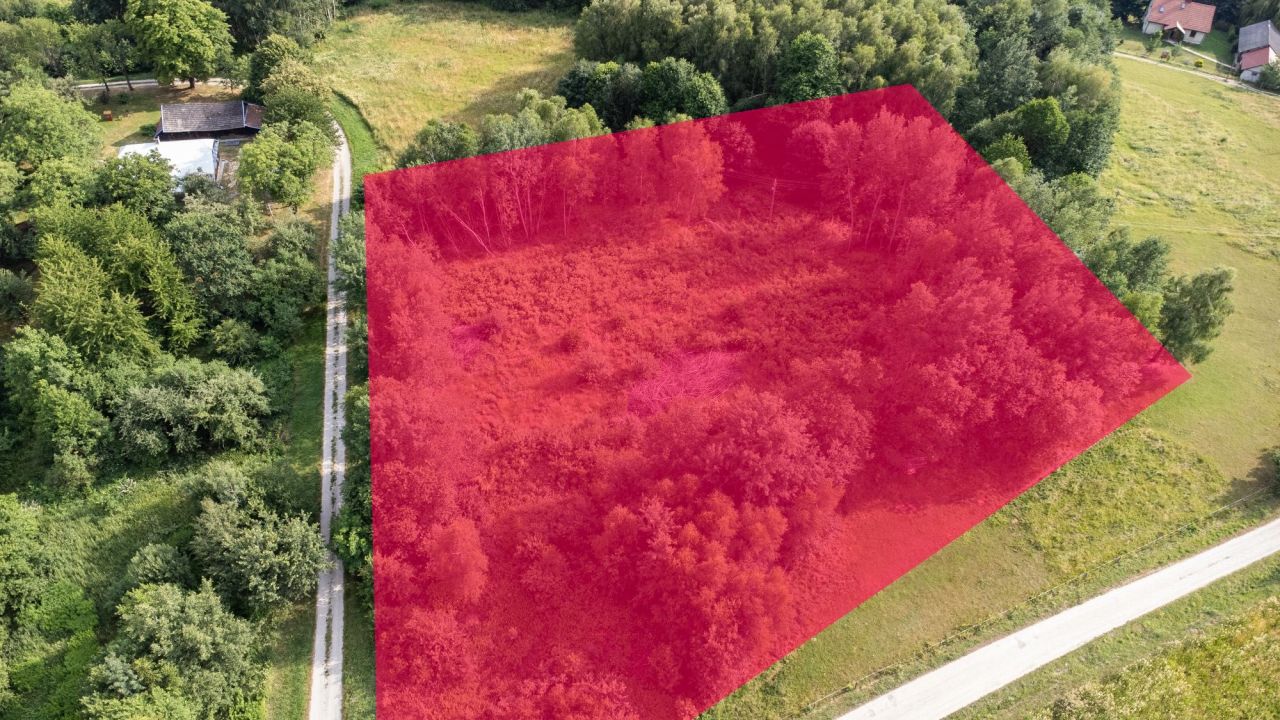 Działka rolna Nowy Borek. Zdjęcie 2