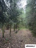 Działka rolna Smoleń-Poluby. Zdjęcie 4