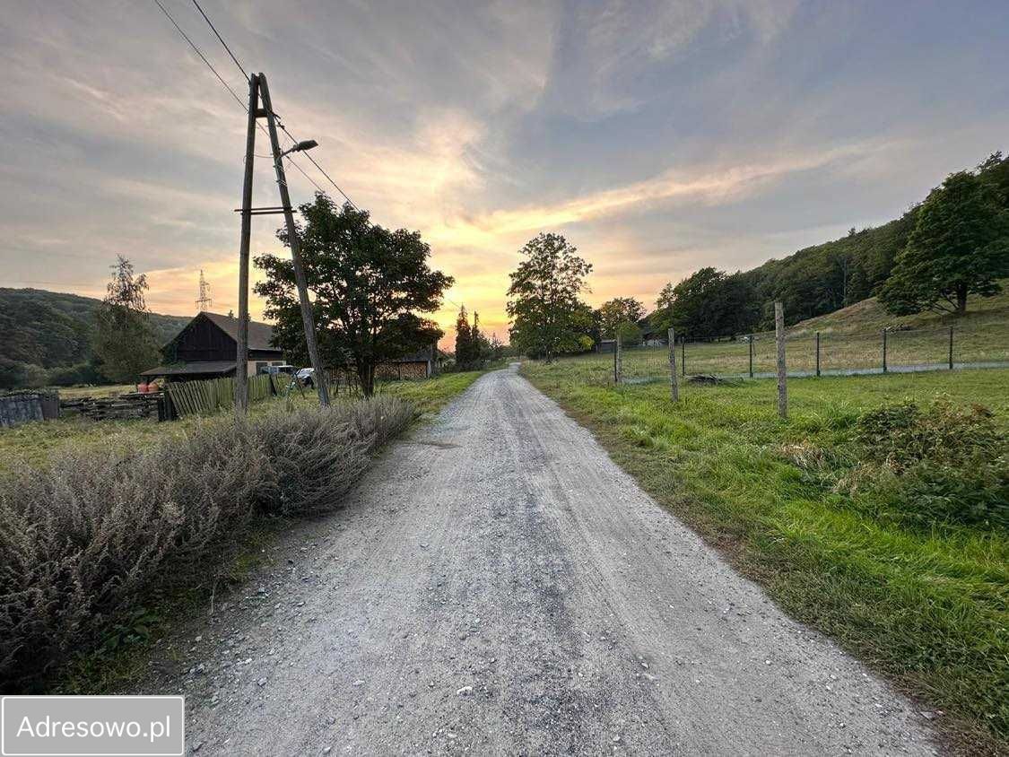 Działka rolna Wapnica. Zdjęcie 7