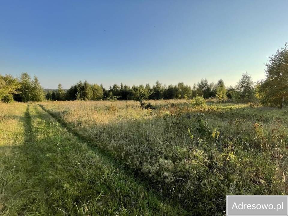 Działka rolna Mechowo. Zdjęcie 4