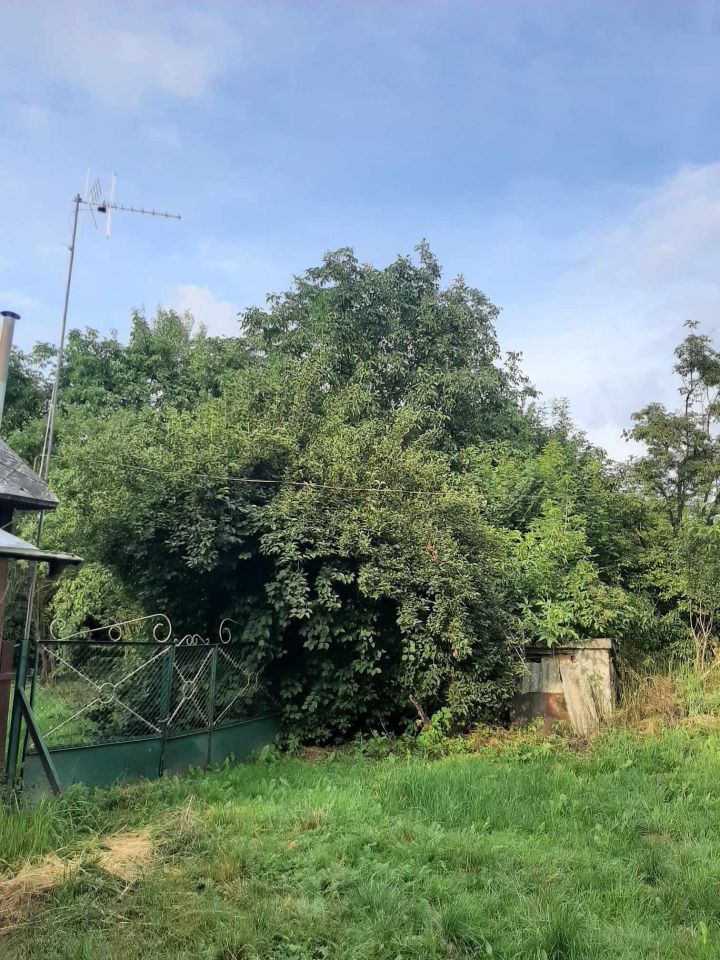 Działka budowlana Niezabitów-Kolonia. Zdjęcie 3