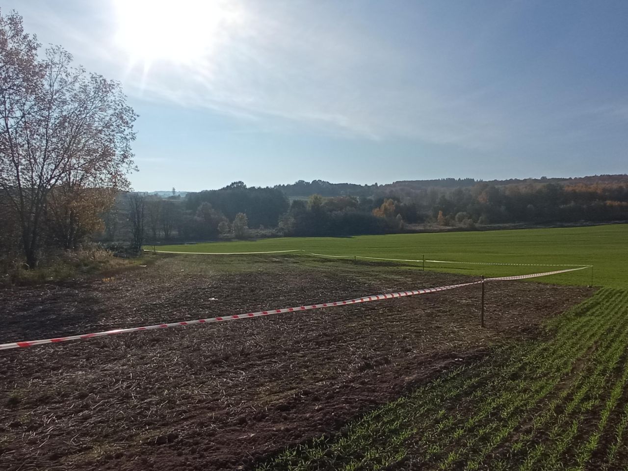 Działka rolno-budowlana Pławna Dolna. Zdjęcie 3