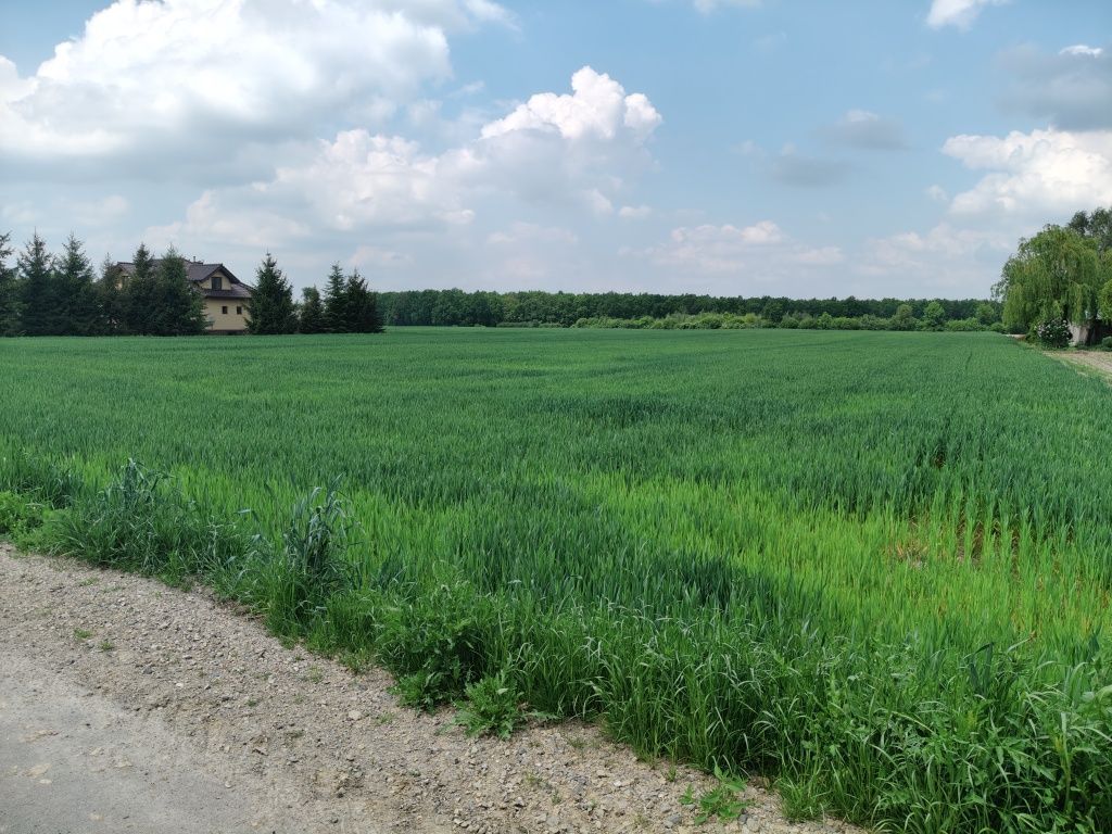 Działka budowlana Łuszczów Drugi. Zdjęcie 4