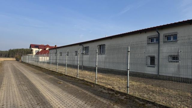 Lokal Brzeźnik. Zdjęcie 7