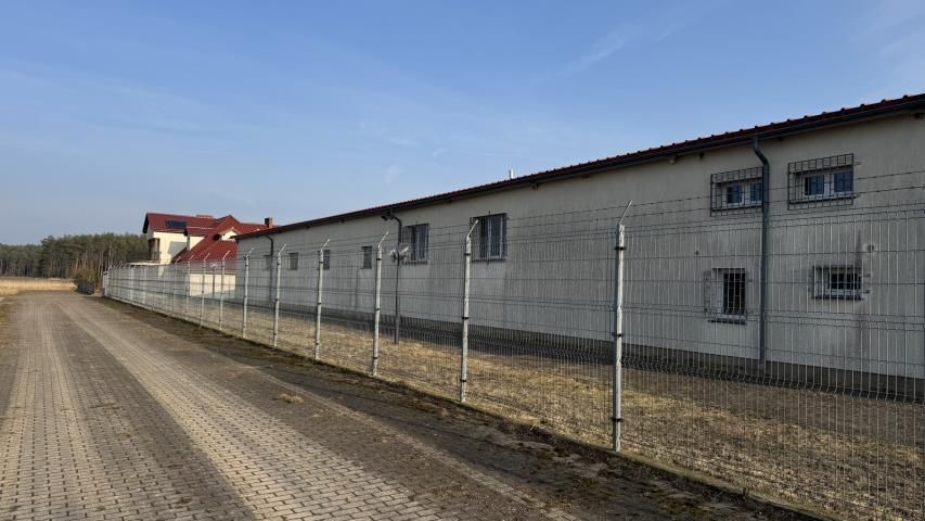 Lokal Brzeźnik. Zdjęcie 7