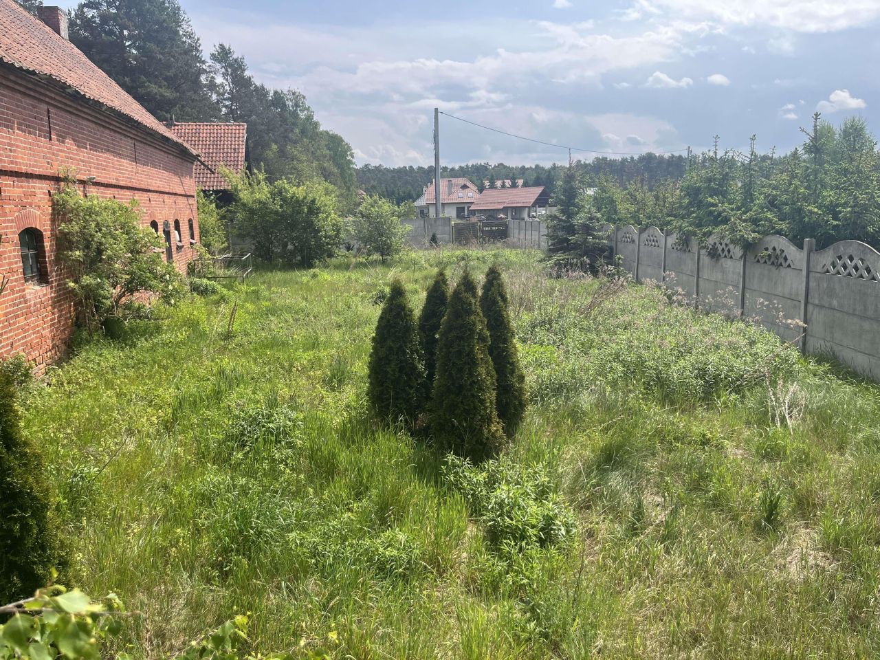 gospodarstwo Międzylesie, ul. Jeziorna. Zdjęcie 4