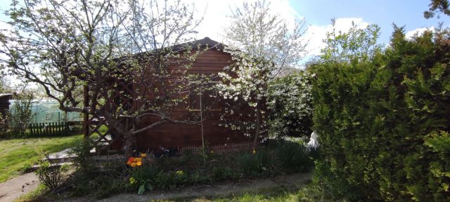 Działka rekreacyjna Sokołów Podlaski, ul. Ząbkowska. Zdjęcie 1