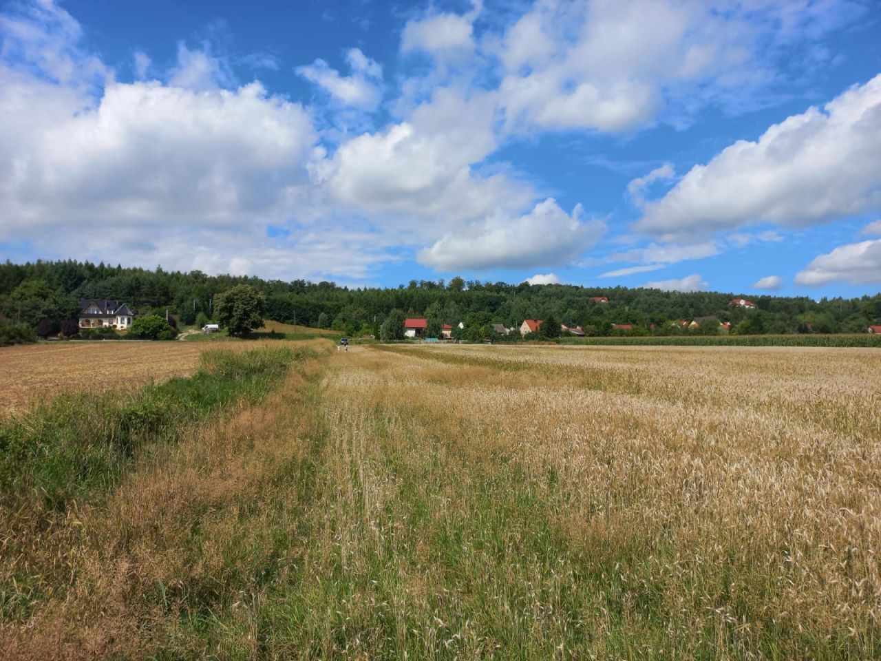 Działka budowlana Kuropatnik. Zdjęcie 3