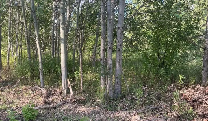 Działka budowlana Secymin Polski