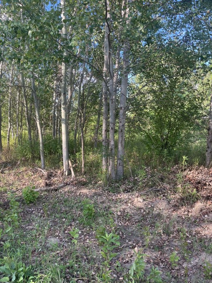 Działka budowlana Secymin Polski