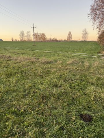 Działka rolna Krzemienica. Zdjęcie 1