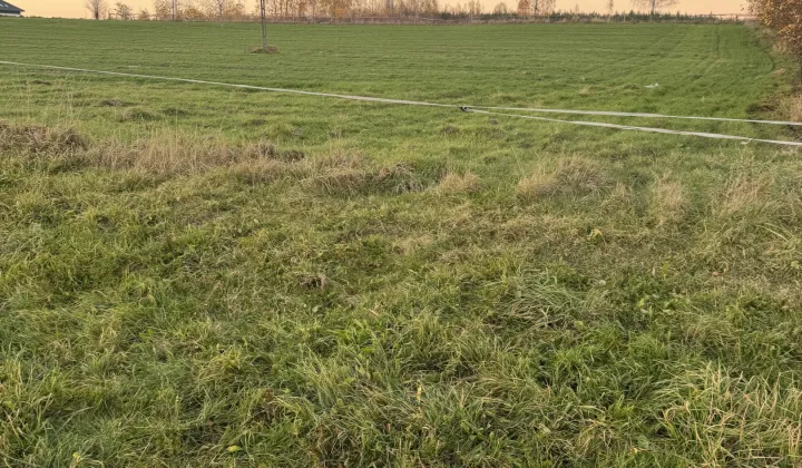 Działka rolna Krzemienica