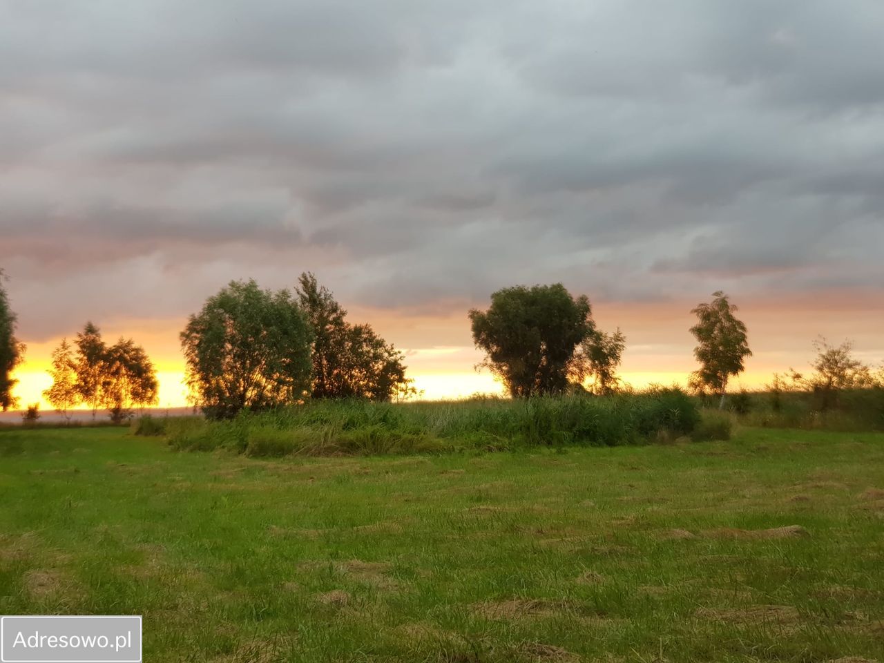 Działka inwestycyjna Suchacz. Zdjęcie 13