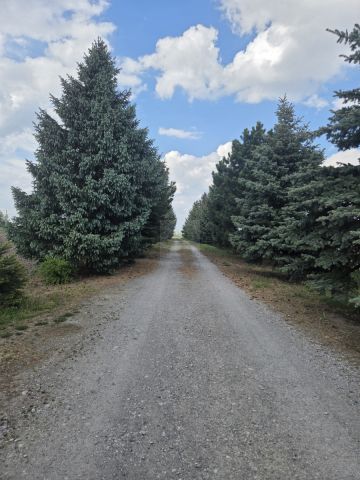 Działka rolna Nowa Sucha. Zdjęcie 6