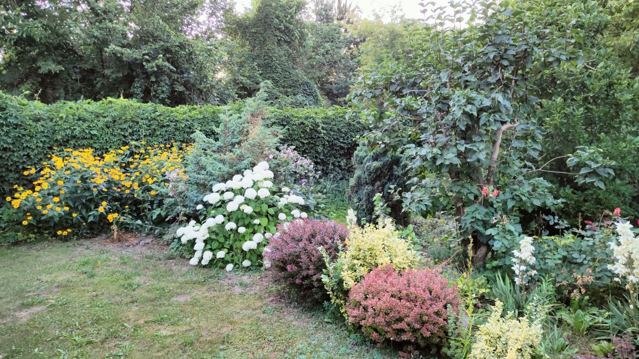 Działka rod Warszawa Siekierki, ul. Santocka. Zdjęcie 3