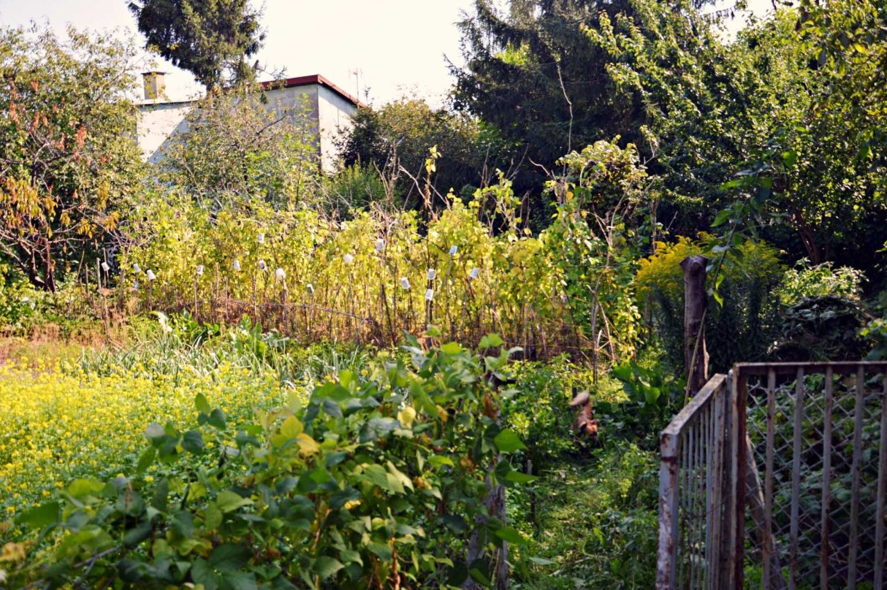 dom wolnostojący Chełm, ul. Szpitalna. Zdjęcie 6
