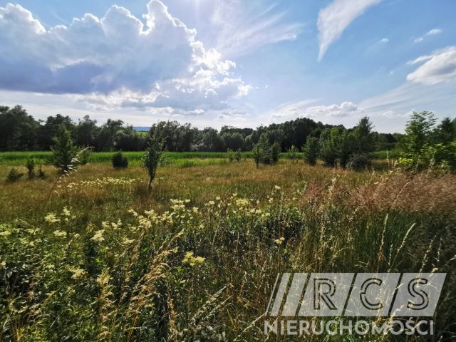 Działka budowlana Pławnica. Zdjęcie 1