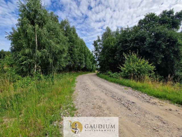 Działka budowlana Przywidz. Zdjęcie 14