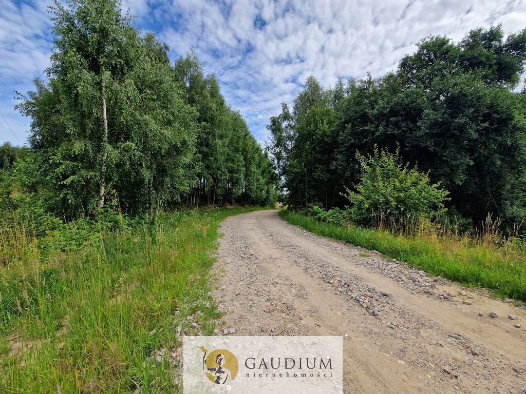 Działka budowlana Przywidz. Zdjęcie 14