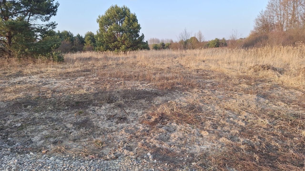 Działka budowlana Staszów, ul. Małopolska. Zdjęcie 4