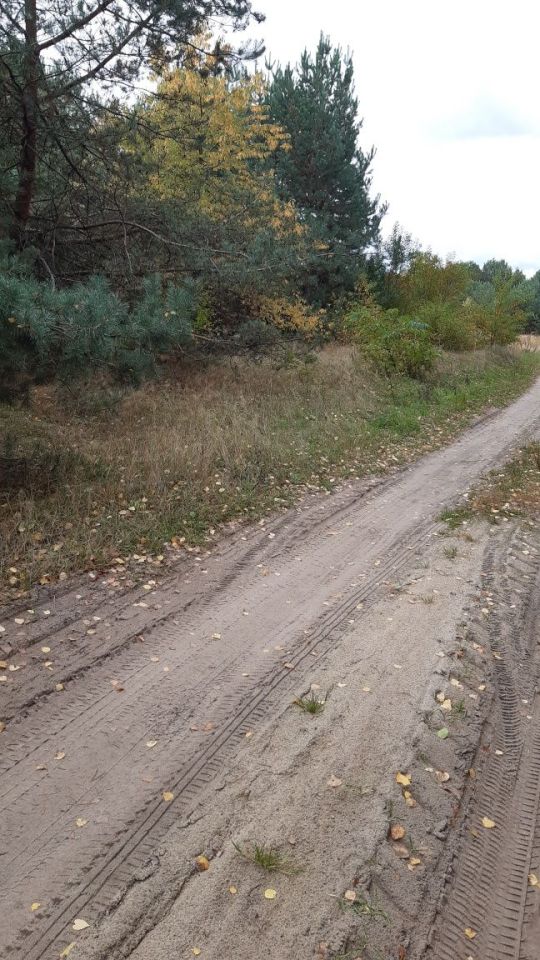 Działka rekreacyjna Żarnów. Zdjęcie 2