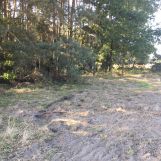 Działka Kostrzyn. Zdjęcie 3