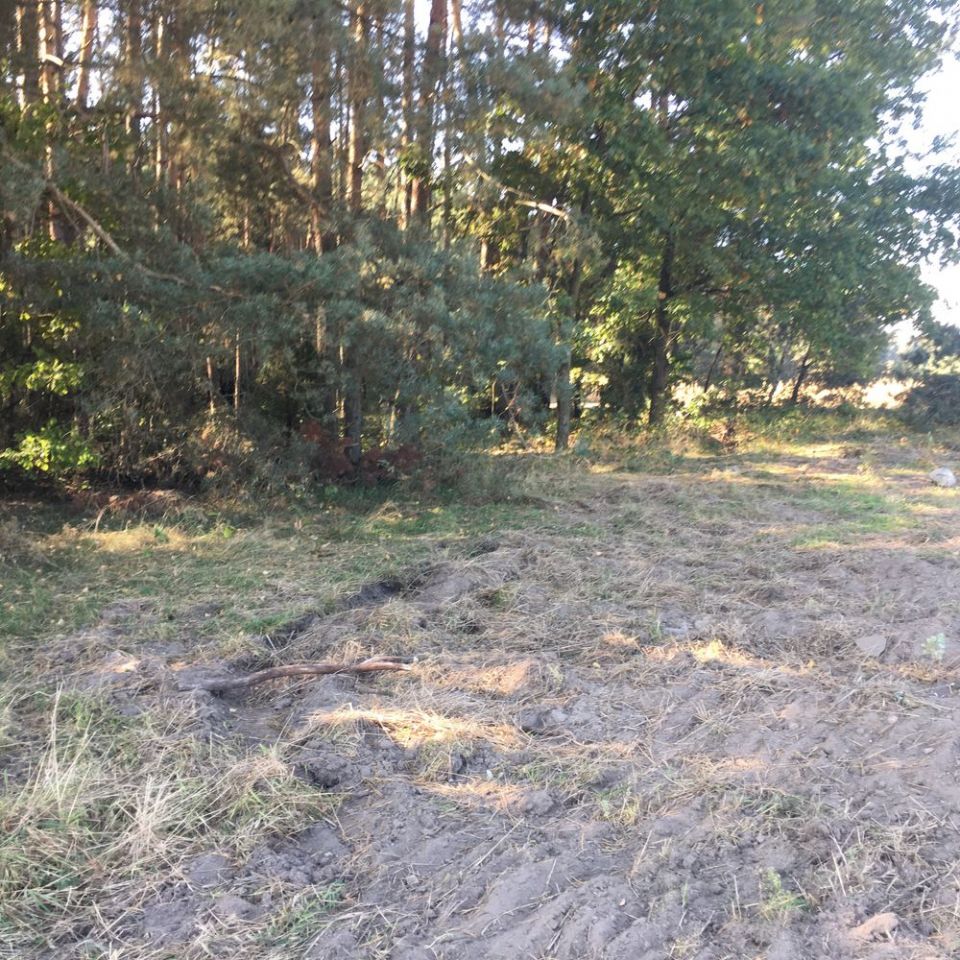 Działka Kostrzyn. Zdjęcie 4