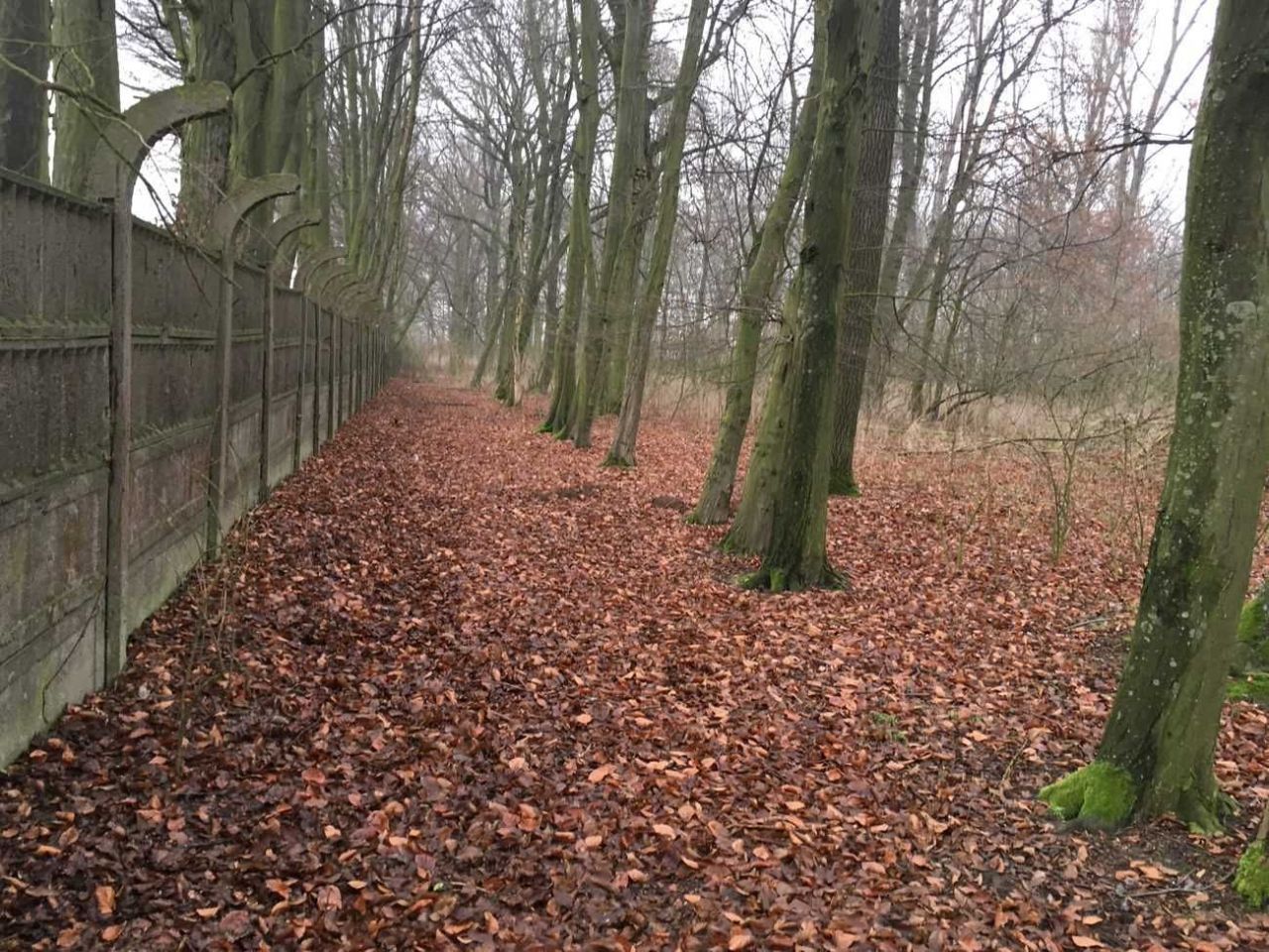 dworek Rokszyce. Zdjęcie 4