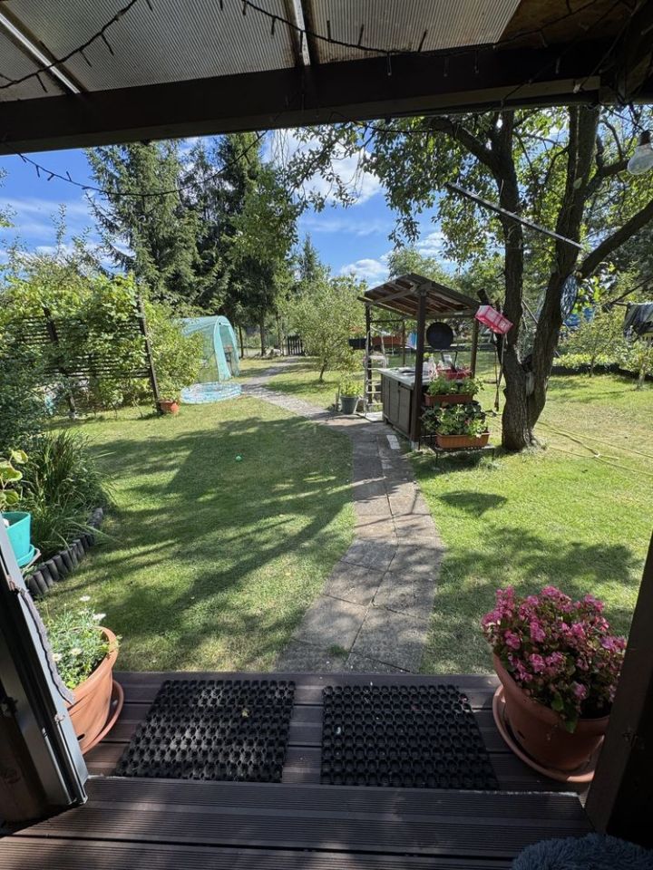 Działka rod Częstochowa Mirów, ul. Mirowska. Zdjęcie 5