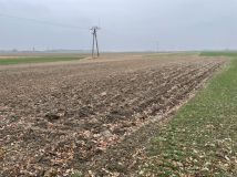 Działka budowlana Budziszów Wielki. Zdjęcie 1