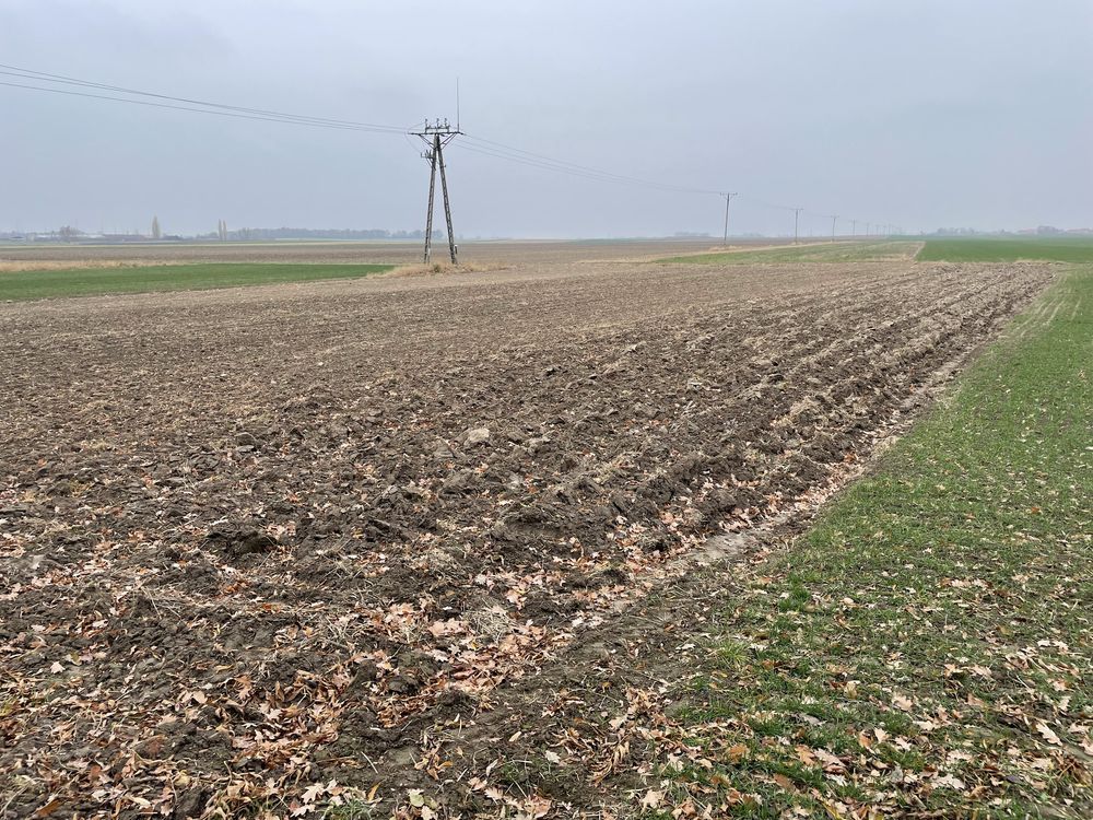 Działka budowlana Budziszów Wielki. Zdjęcie 2