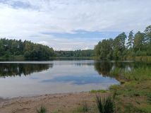Działka budowlana Wężówka. Zdjęcie 2