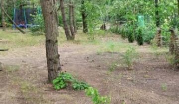 Działka rod Polkowice