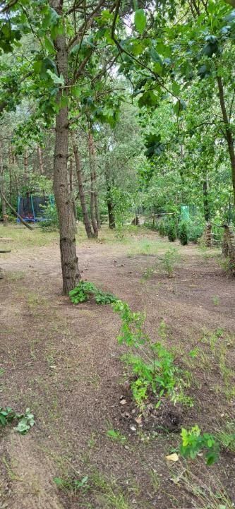 Działka rod Polkowice. Zdjęcie 2