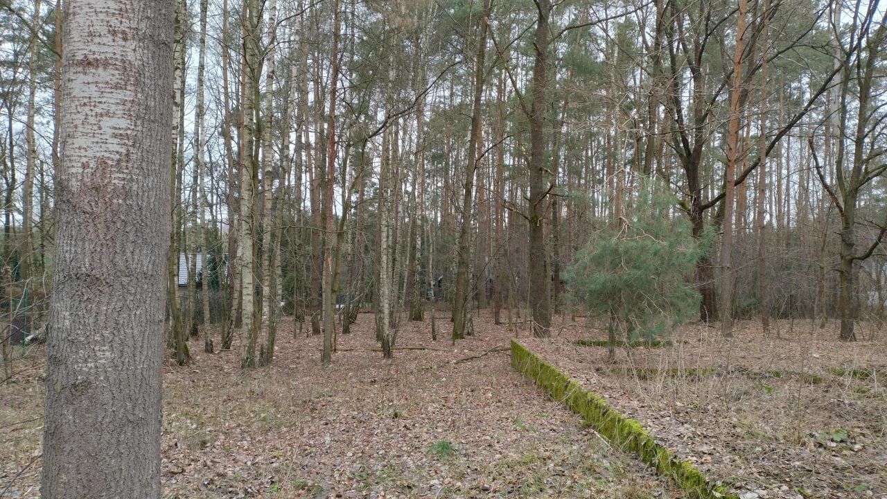 Działka budowlana Zofiówka, ul. Cmentarna. Zdjęcie 20