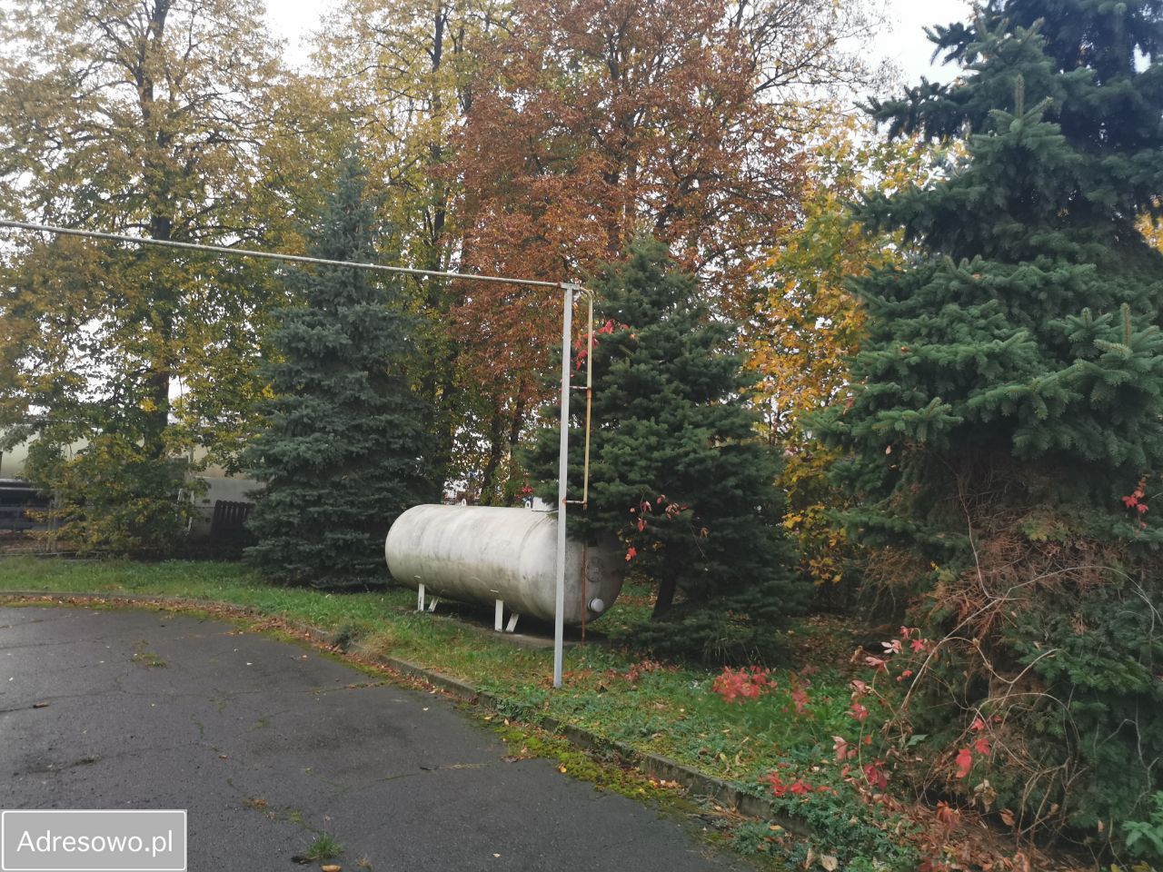 Lokal Jasło Niegłowice, ul. 3 Maja. Zdjęcie 4