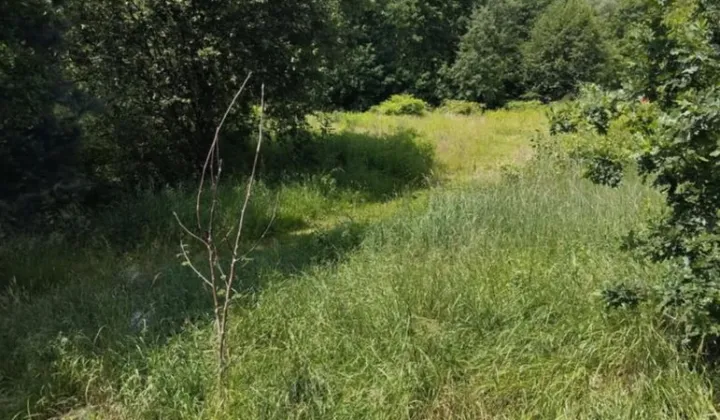Działka rolno-budowlana Mysłowice Brzęczkowice, ul. Kolejowa