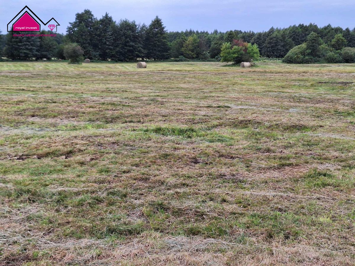 Działka rolna Wilcza Kłoda. Zdjęcie 3