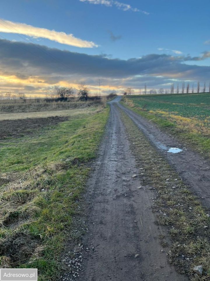 Działka budowlana Ząbkowice Śląskie. Zdjęcie 2
